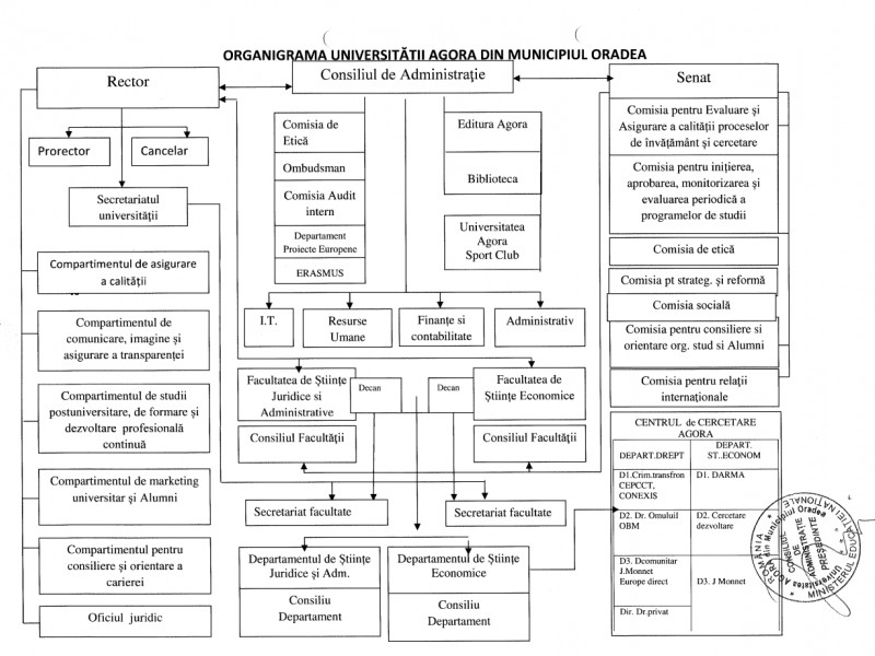 Organizational Chart